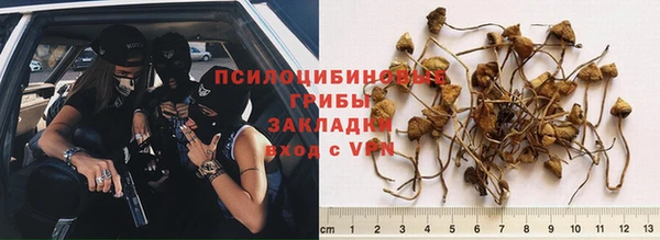 ешки Алзамай